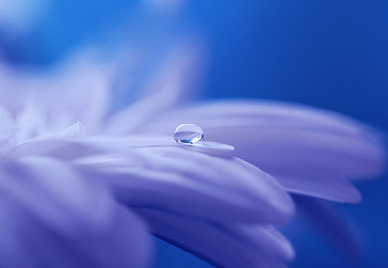Mystical Powers